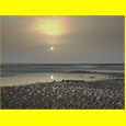thumbnail Dans la baie de la Maye