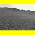 thumbnail Galets du Hourdel