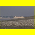thumbnail Dans le lointain, Le Crotoy
