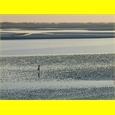 thumbnail Sur la plage du Crotoy