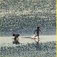 thumbnail Sur la plage du Crotoy