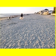 thumbnail Sur la plage du Crotoy